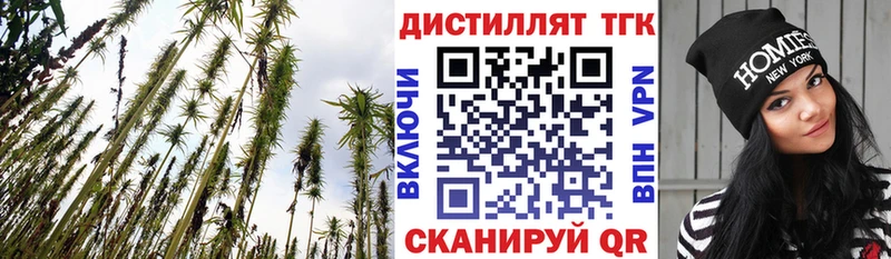 Дистиллят ТГК THC oil  MEGA как зайти  Лабинск  наркошоп 