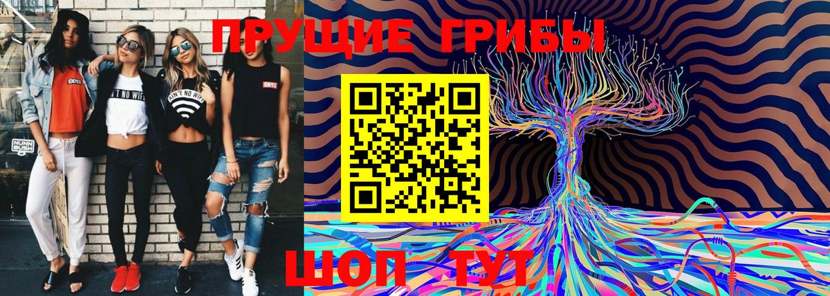 Псилоцибиновые грибы MAGIC MUSHROOMS  Галлюциногенные грибы Psilocybine cubensis  Вход с VPN  купить   Лабинск 