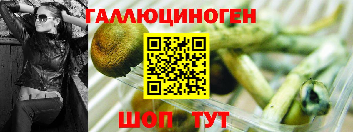 Псилоцибиновые грибы мухоморы Лабинск