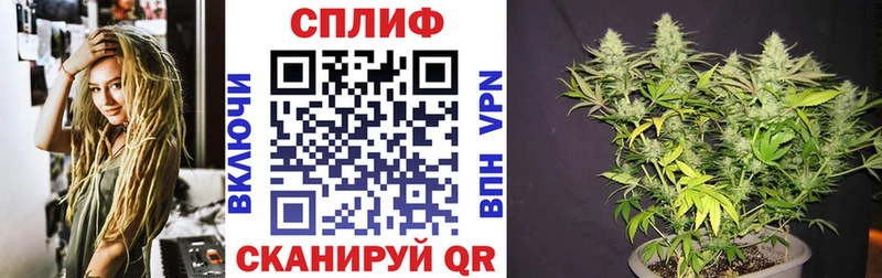 хочу   Лабинск  МАРИХУАНА семена 